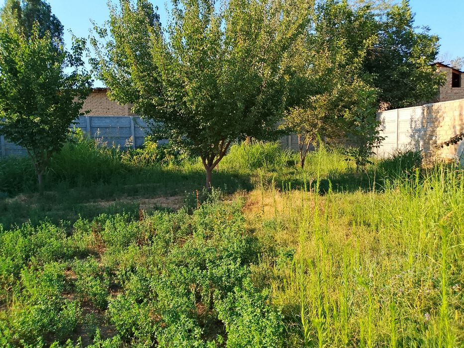 Uchaska sotiladi yangi yolda Nurobod Mfy 10 sotik