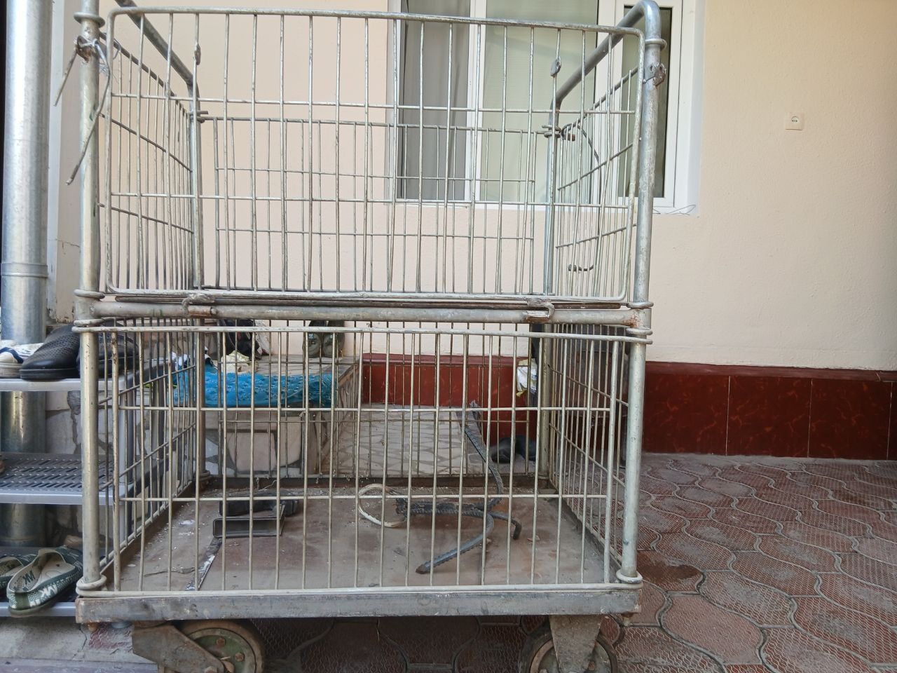 Arava telejka holati yaxshi