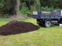 Pamant vegetal de flori negru de calitate((CLINCENI,DOMNESTI,BRAGADIRU