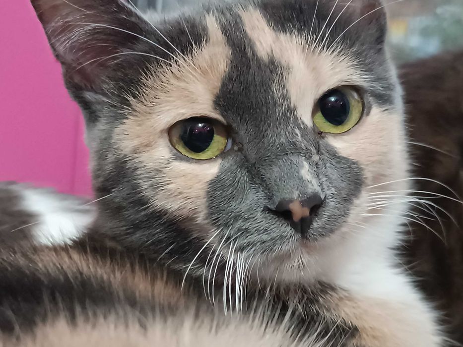 -34° было ночью когда она должна была родится, на трубе теплотрассы.