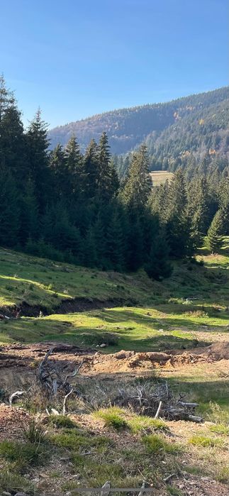 Teren Vartop- la baza pârtiei Piatra Grăitoare