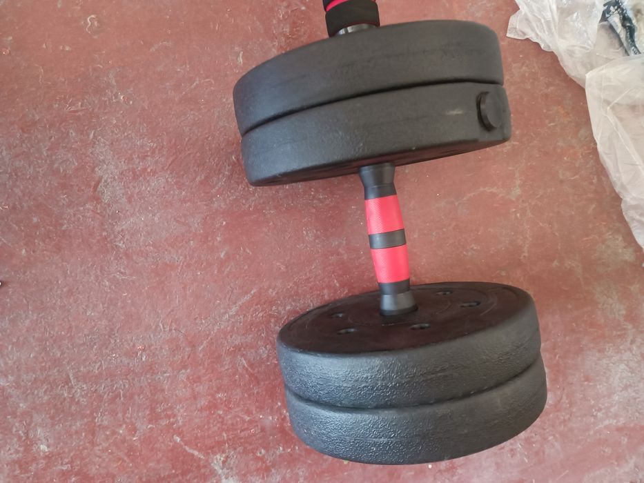 Gantel 24 kg 12x2