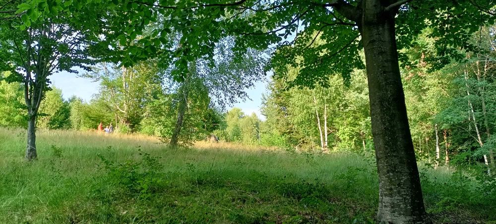Teren Runcu (Brebu) Dambovita