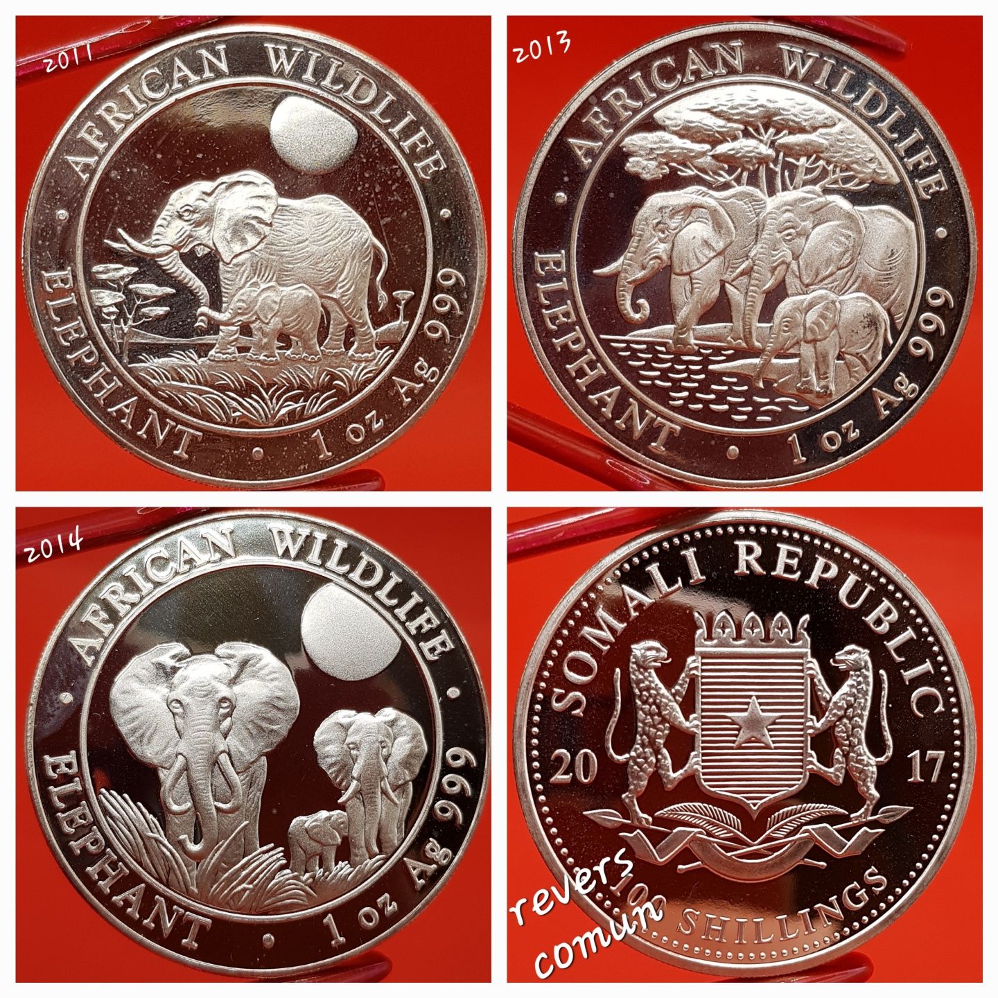 Somalia Elefantul si Leopardul 2011-2025 monede lingou argint 999