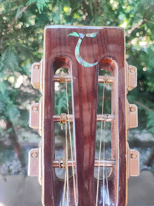 chitara acustica parlor