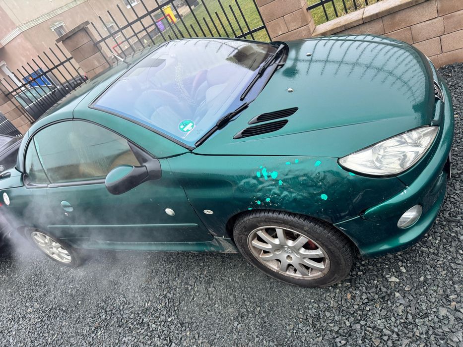 Peugeto   206   Cc