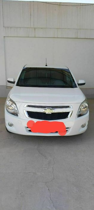 Koboit 2013 yil holati yahshi