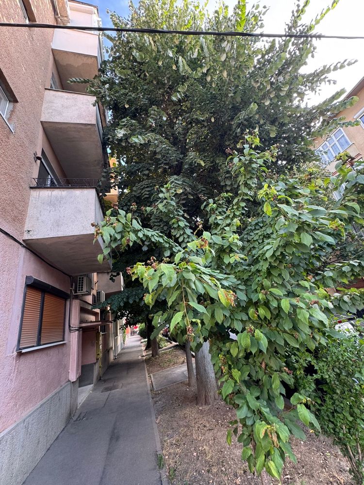 Proprietar, vând apartament cu 2 camere în Podgoria Malul Mureșului,