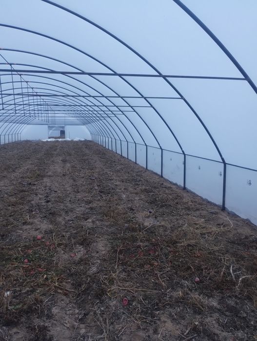 Solarii import Ungaria ieftine profesionale