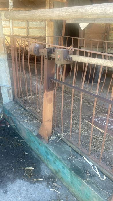 Cantar pentru cantarit animale