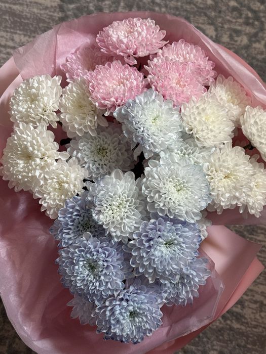 Хризантема буквально свежая