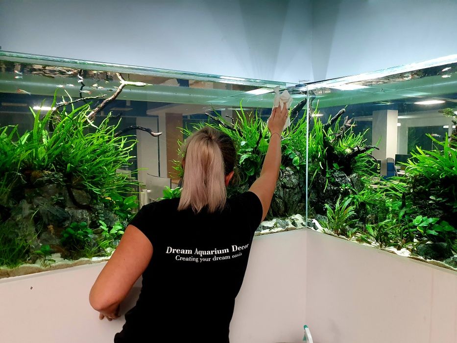 Amenajări Acvarii Personalizate și Mentenanță Profesională DAD