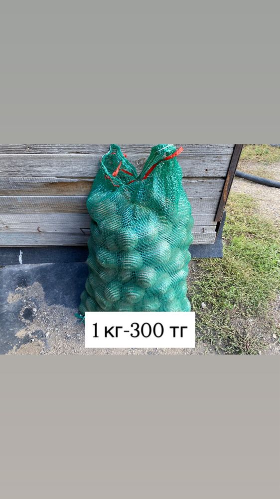 Домашняя картошка