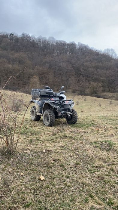 Linhai 300cc dragonfly