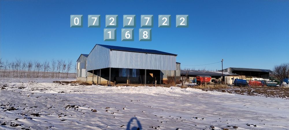 Vand structuri si hale complete stâlpii din ipe