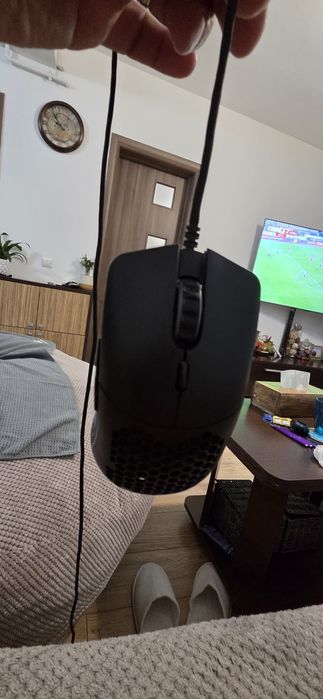 Mouse glorious stare buna