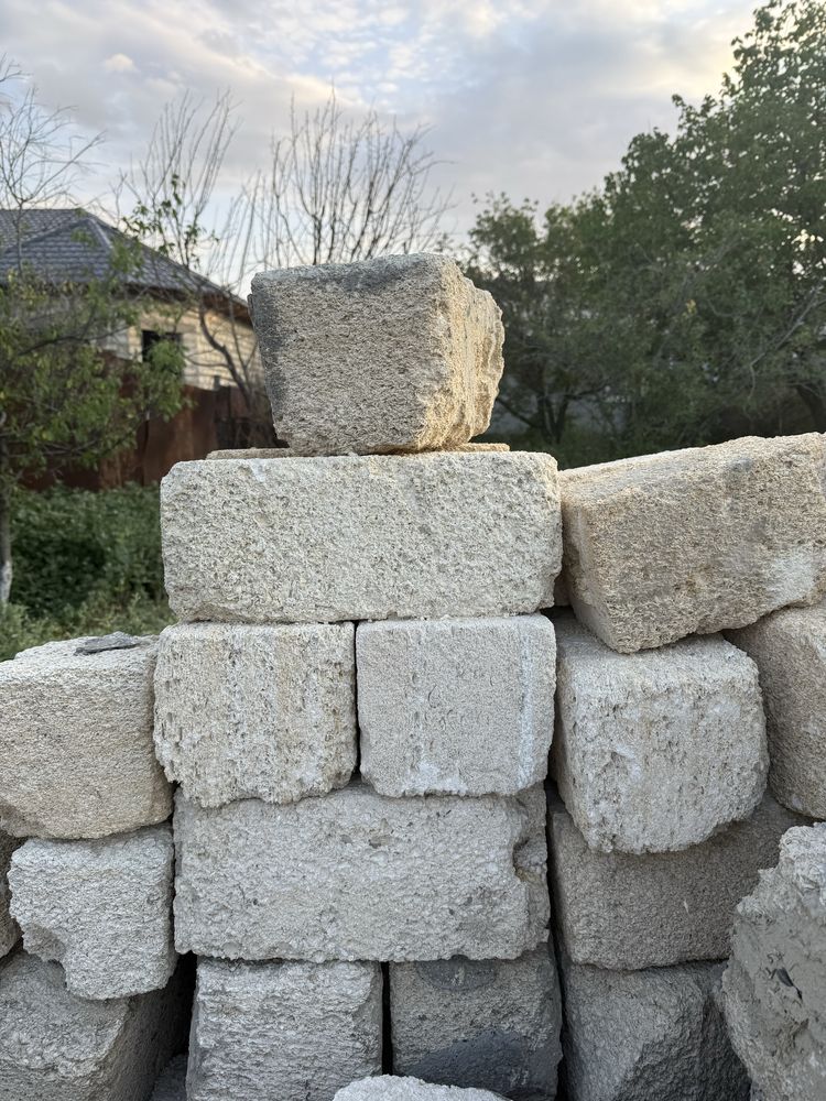 Ракуша тас сатыладв