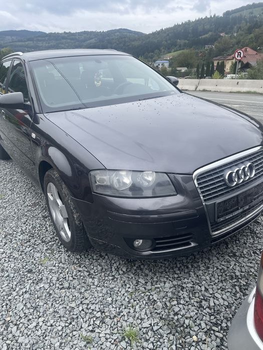 Vand Audi A3 8P 2007