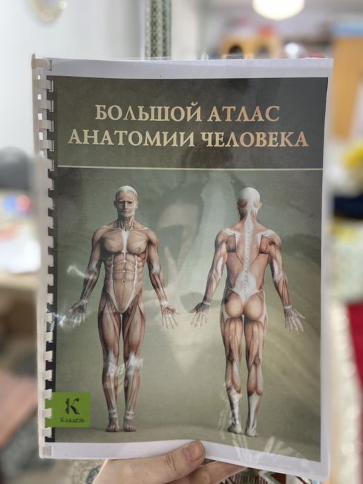 Большой атлас анатомии человека