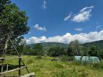 Teren de Vanzare Valea Doftanei 1480mp