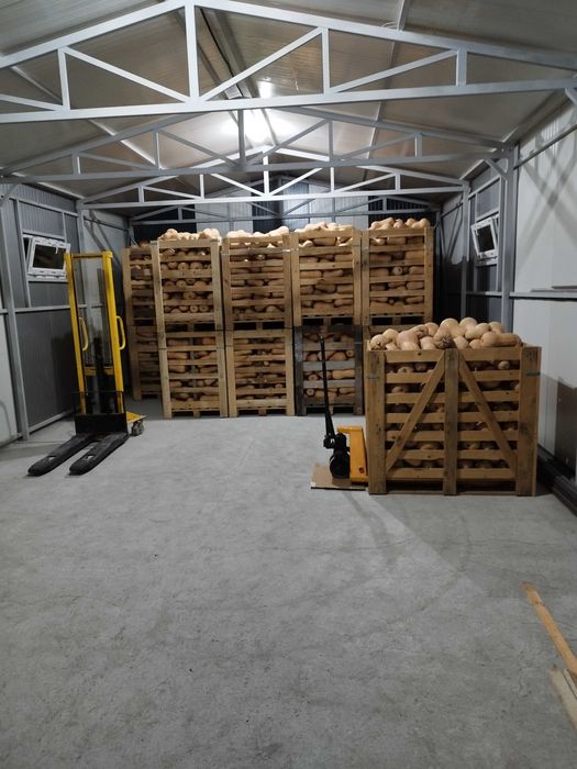 Dovleci plăcintari de vânzare