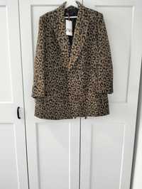 Palton elegant Zara colecție nouă Maroc