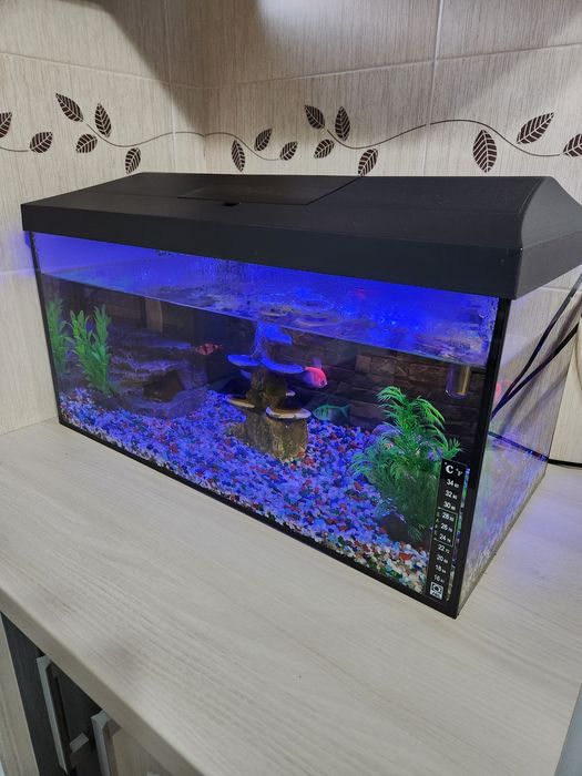 Acvariu cu pești Full Echipat