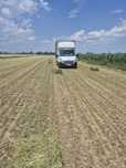 Vand baloti de Lucerna fan productie 2025 transport la domicilu