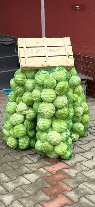 Vand varza de toamna la 25 de lei sacul