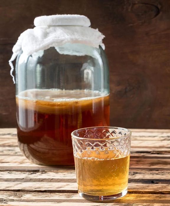 Чайный гриб для приготовления комбучи