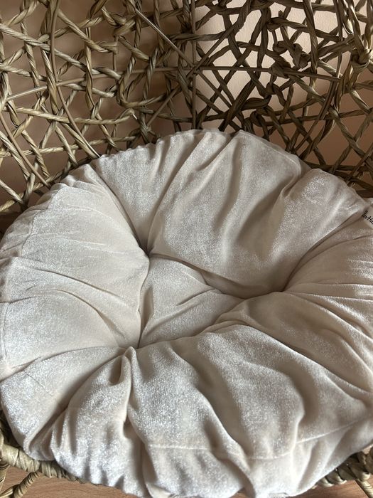 Къща за котки-куче