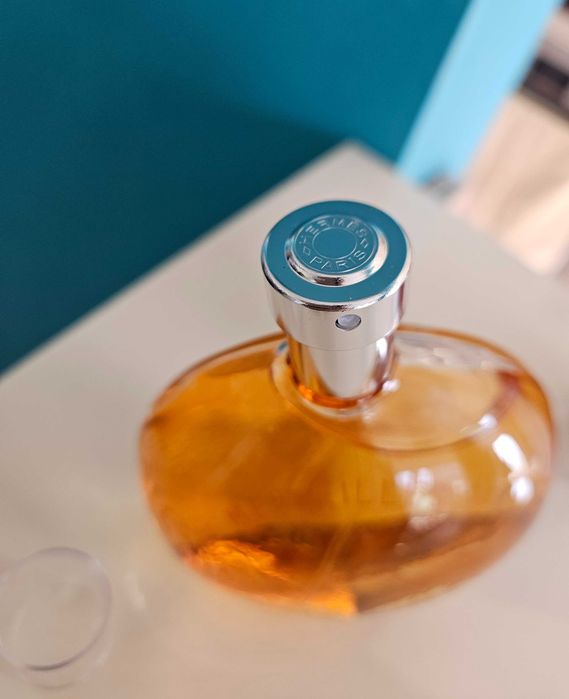 Hermes Eau des Merveilles EDT 100ml