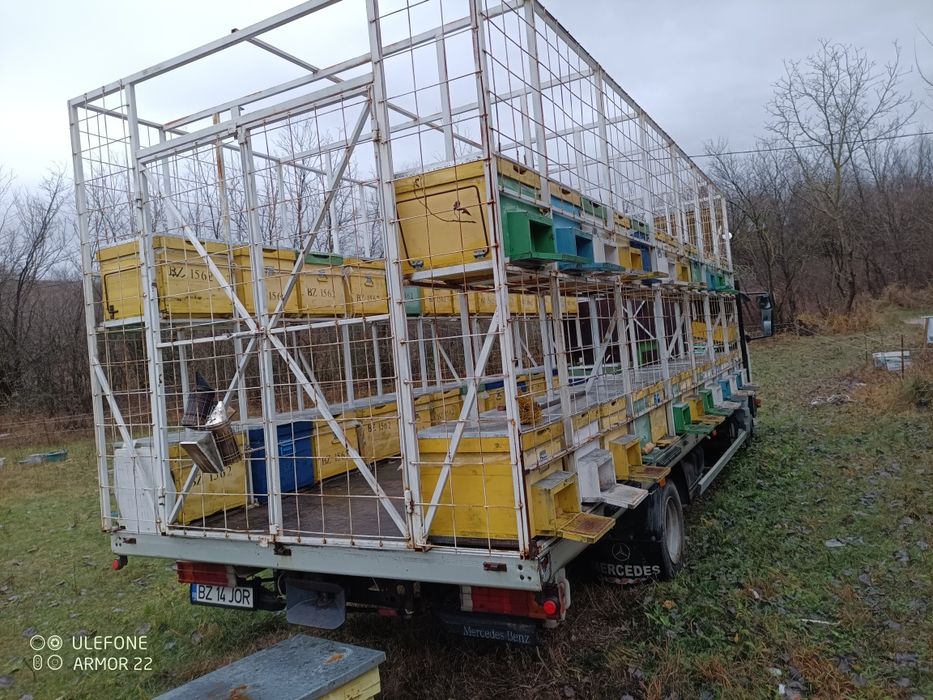 Camion apicol Mercedes Atego