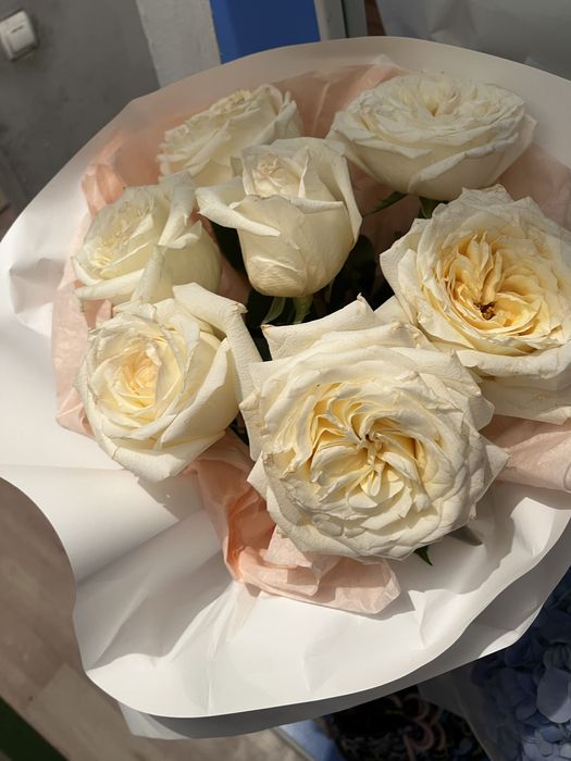 Цветы свежиеееее