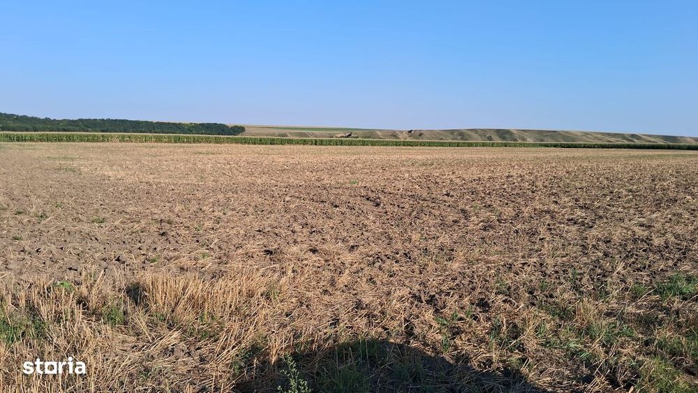 Teren extravilan zona izvoare 28500 mp