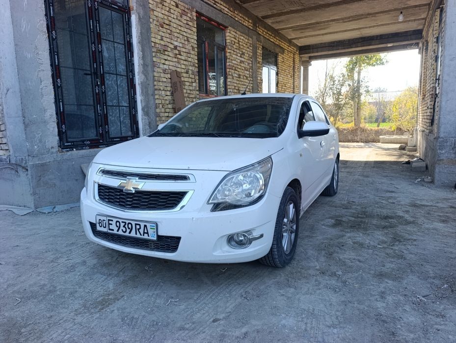 Kobalt sotiladi sastaniyasi zur kraskasi umuman yuq uzimniki