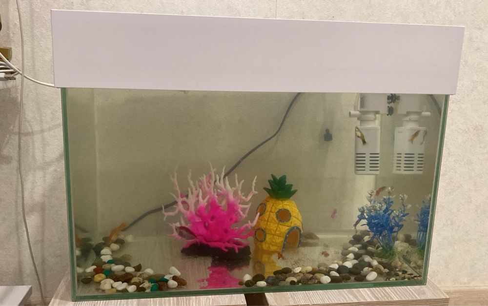 Продам  Аквариум