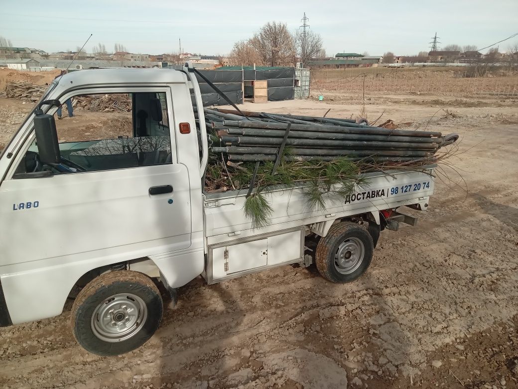 "LABO" yuk tashish hizmati Toshkent shahri va viloyati b'oylab