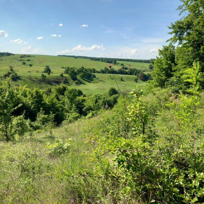 Имение на райско място