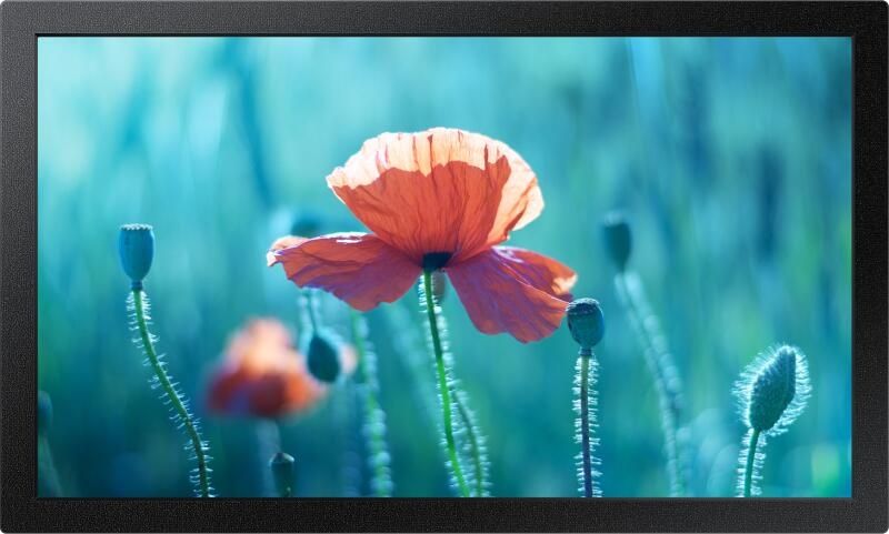 Display Samsung PROFFESIONAL QB13R-M  13" Full HD