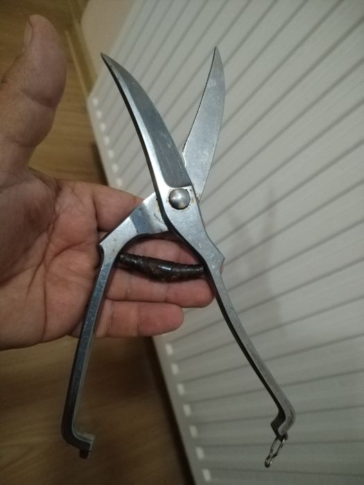 Маркова ножица са пернати