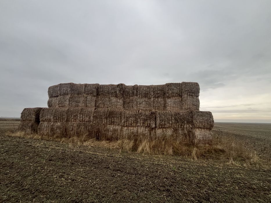 Vand baloti dreptunghiulari