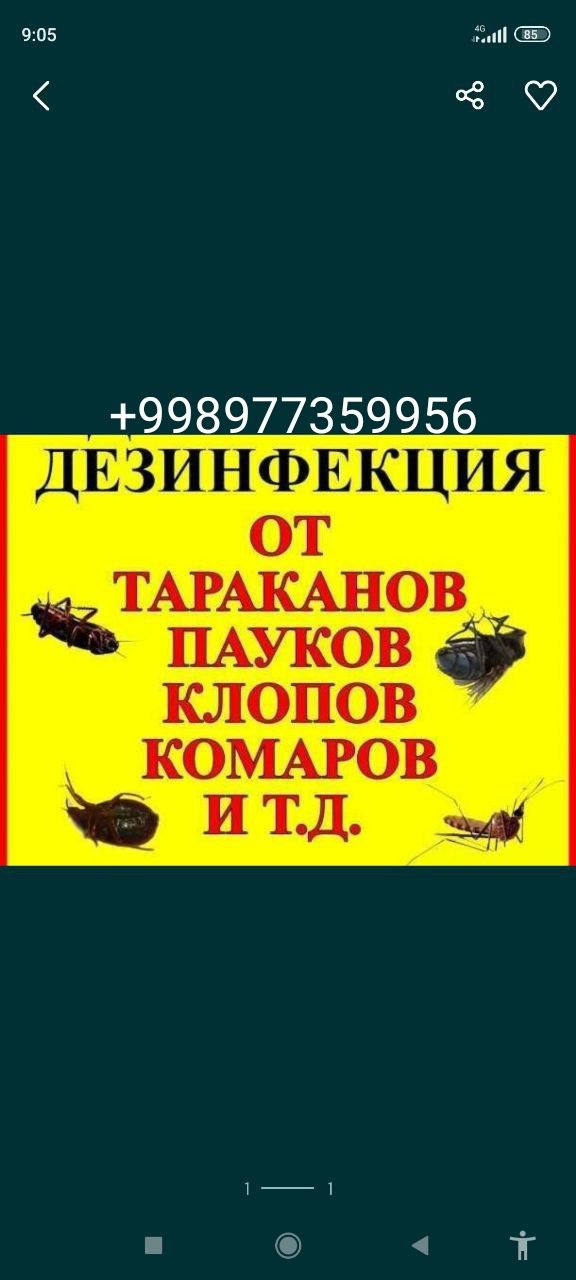 dezinfeksiya klop va tarakan chumoli