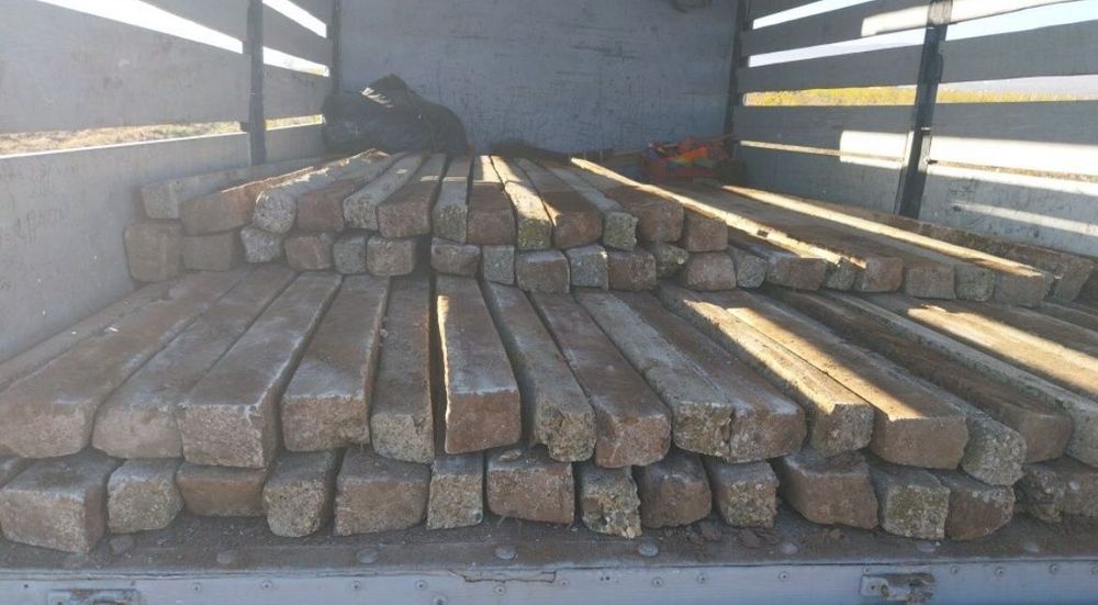 Spalieri de vie de gard din defisari