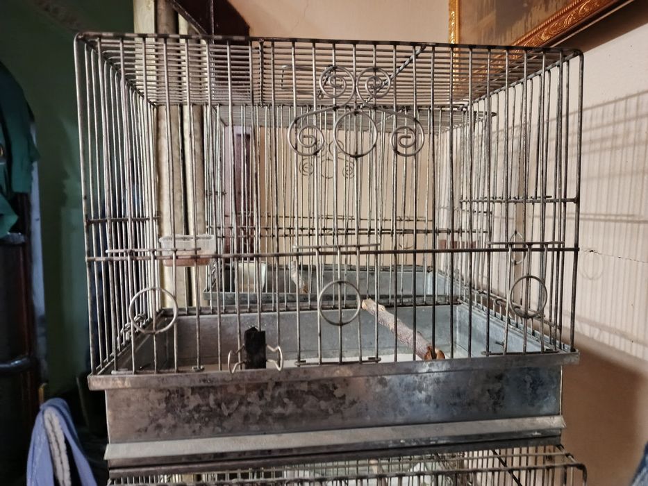 Сайратма кафас сотилади б/у холати зур