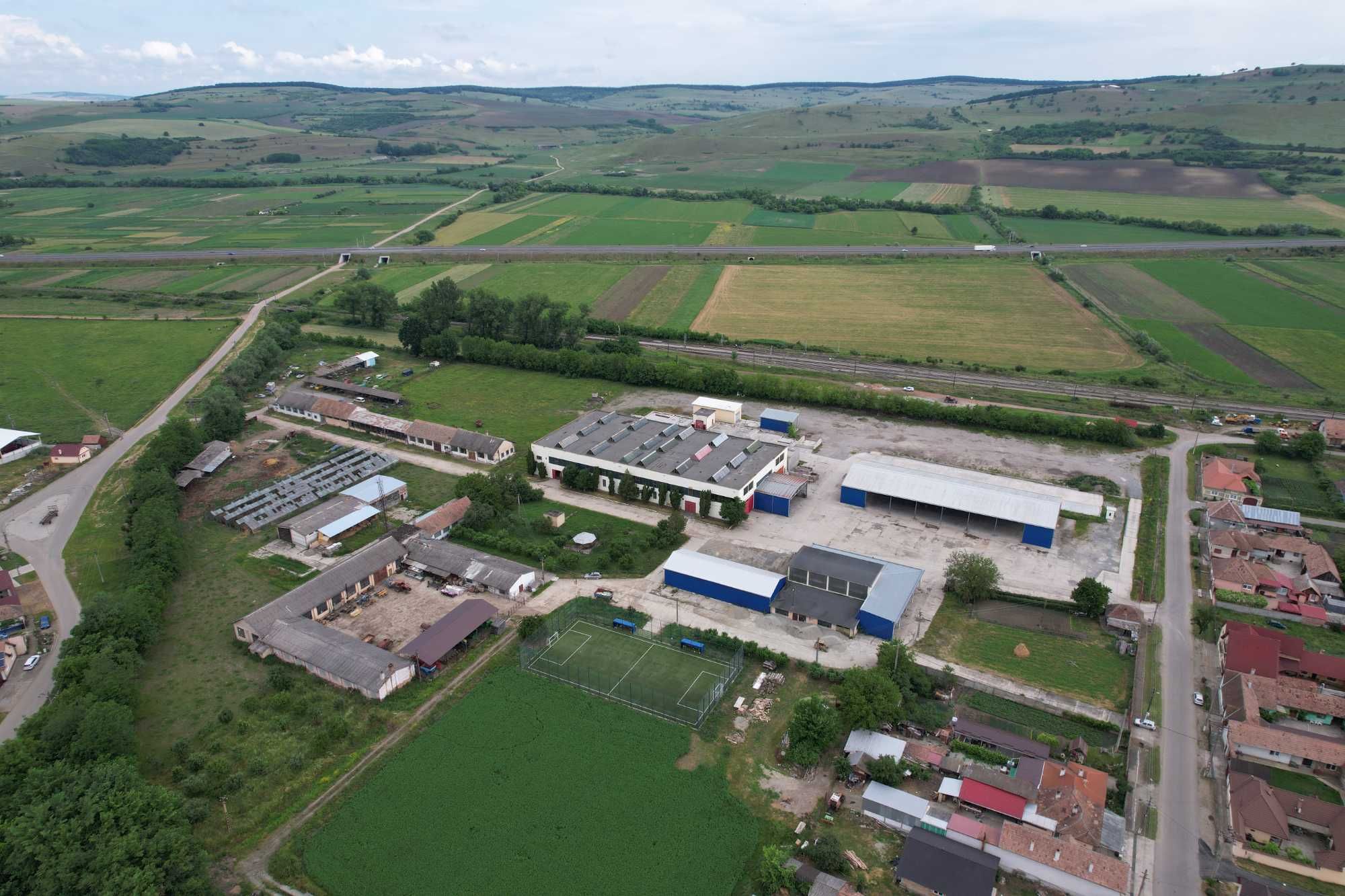 Hala industriala si teren de constructii 3,1 ha in Miercurea Sibiului