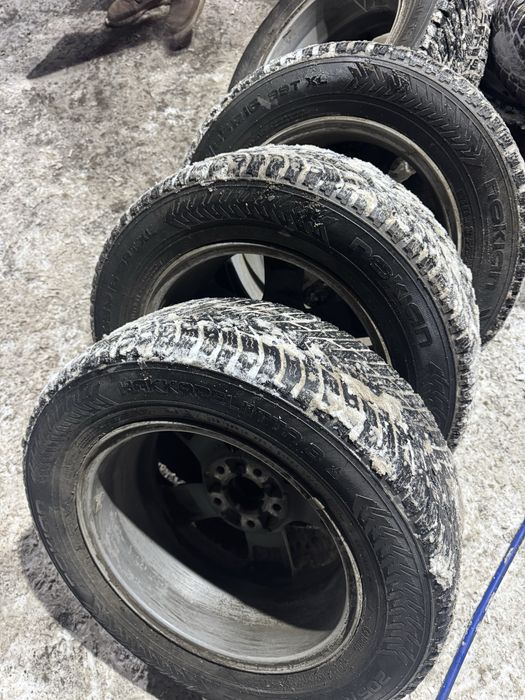 Зимняя резина Нокиан хакапелита 8