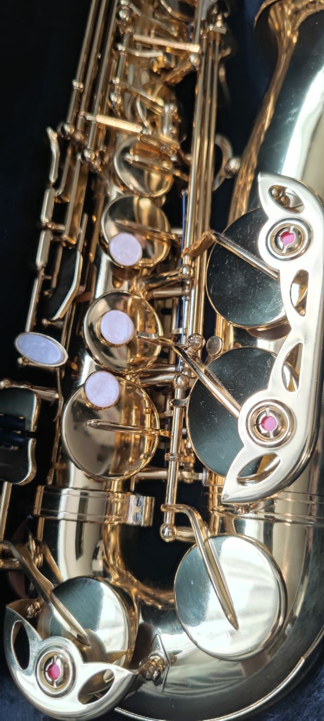 Saxofon nou in cutie exact ca în poze