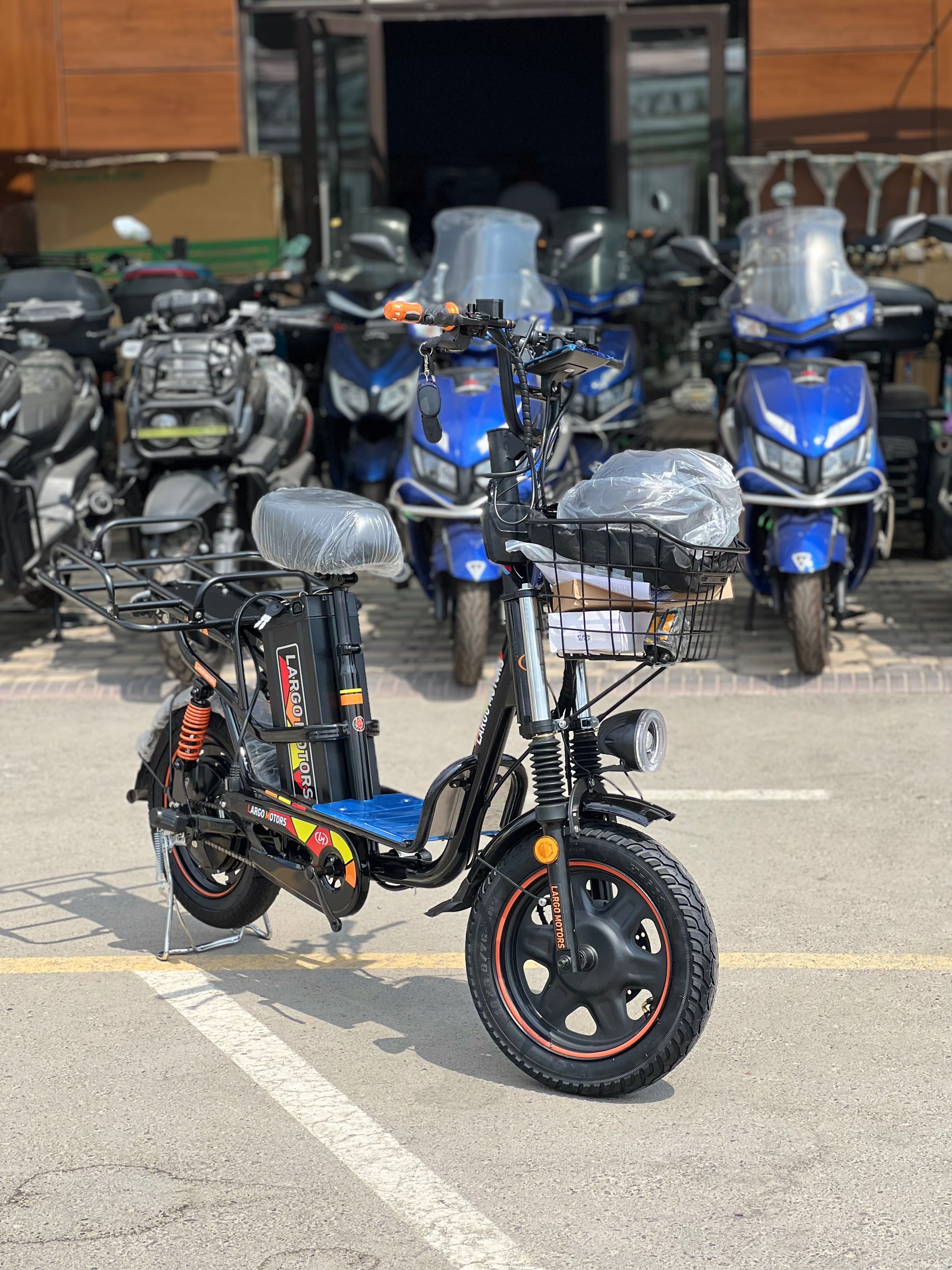 Monster Largo motors