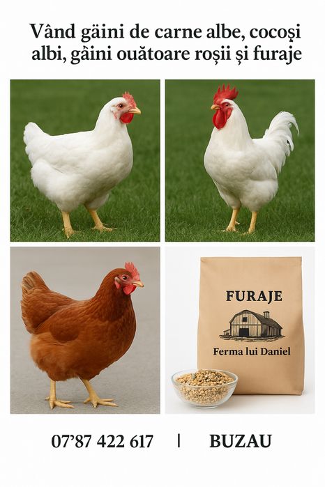 Vand gaini outoare si de carne